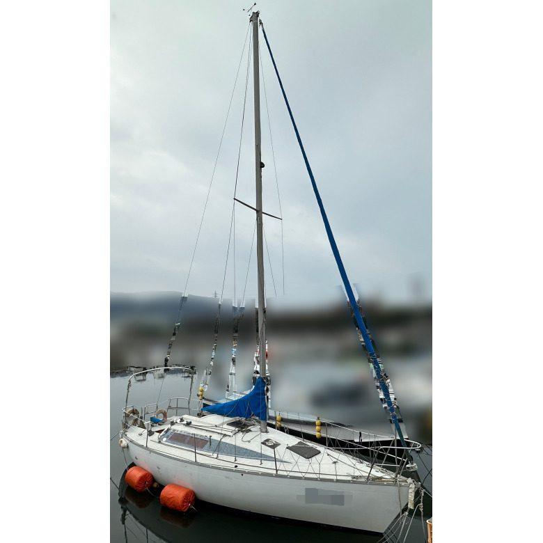 の 人気アイテムランキング ship_16144_0001_0005_0780_0780 外装品