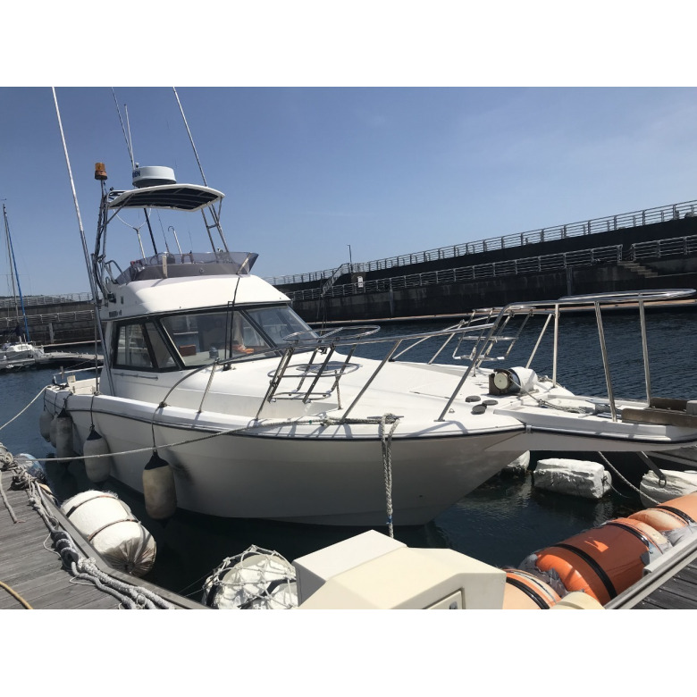 ヤマハ　SF31 メンテナンスキット ヤマハ SF31 メンテナンスキット