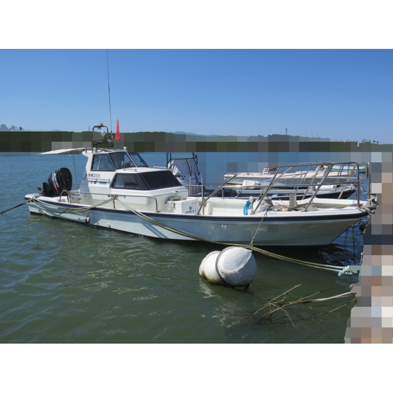 ASSIST AG-12ZS ゼロ磁場イオン発生機 ゼロストリーマー ASSIST AG-12ZS ZERO STREAMER ゼロ磁場イオン発生機