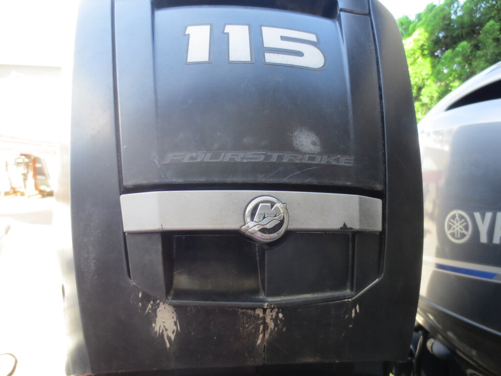 머큐리 SEA PRO 115PS