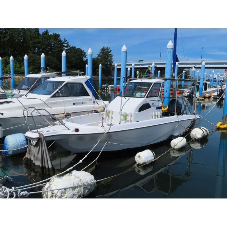 ship_16840_0001_0001_0780_0780