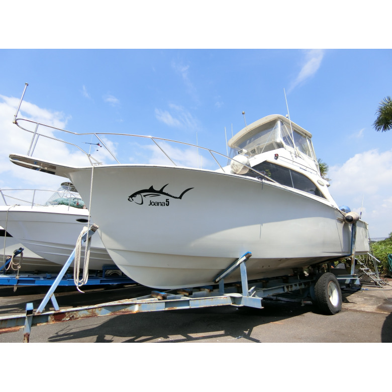 ship_16914_0001_0001_0780_0780