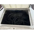 アンカー、ロープ