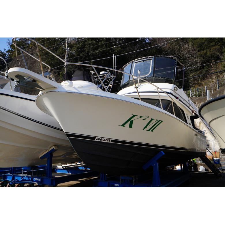 BLACKFIN YACHT CORP ブラックフィン29SF | 【中古艇ドット