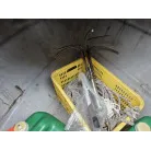船首