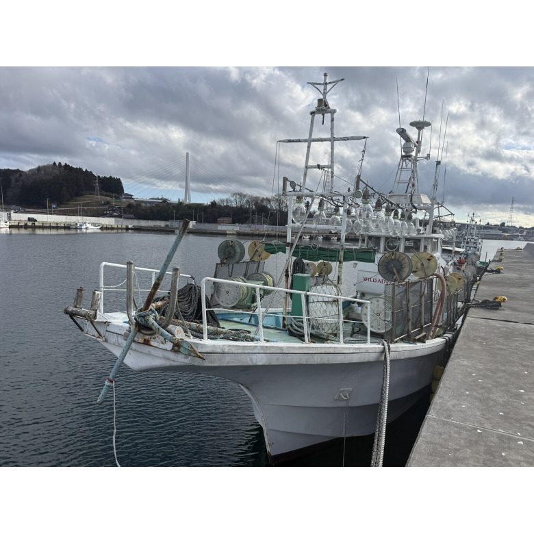 （イカ釣り仕様）