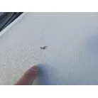 ＦＲＰの欠け