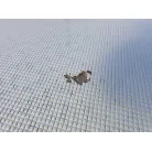 ＦＲＰの欠け