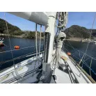 メインセール　➡