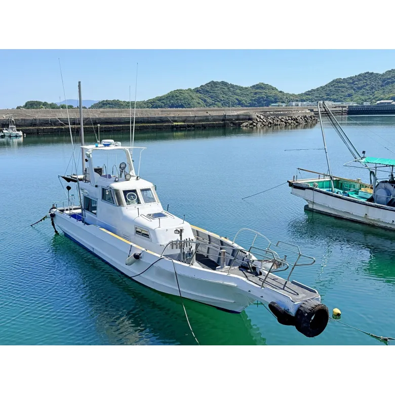 三盛船舶　TMC SUPERSPORT46F