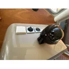 コンパスの背面